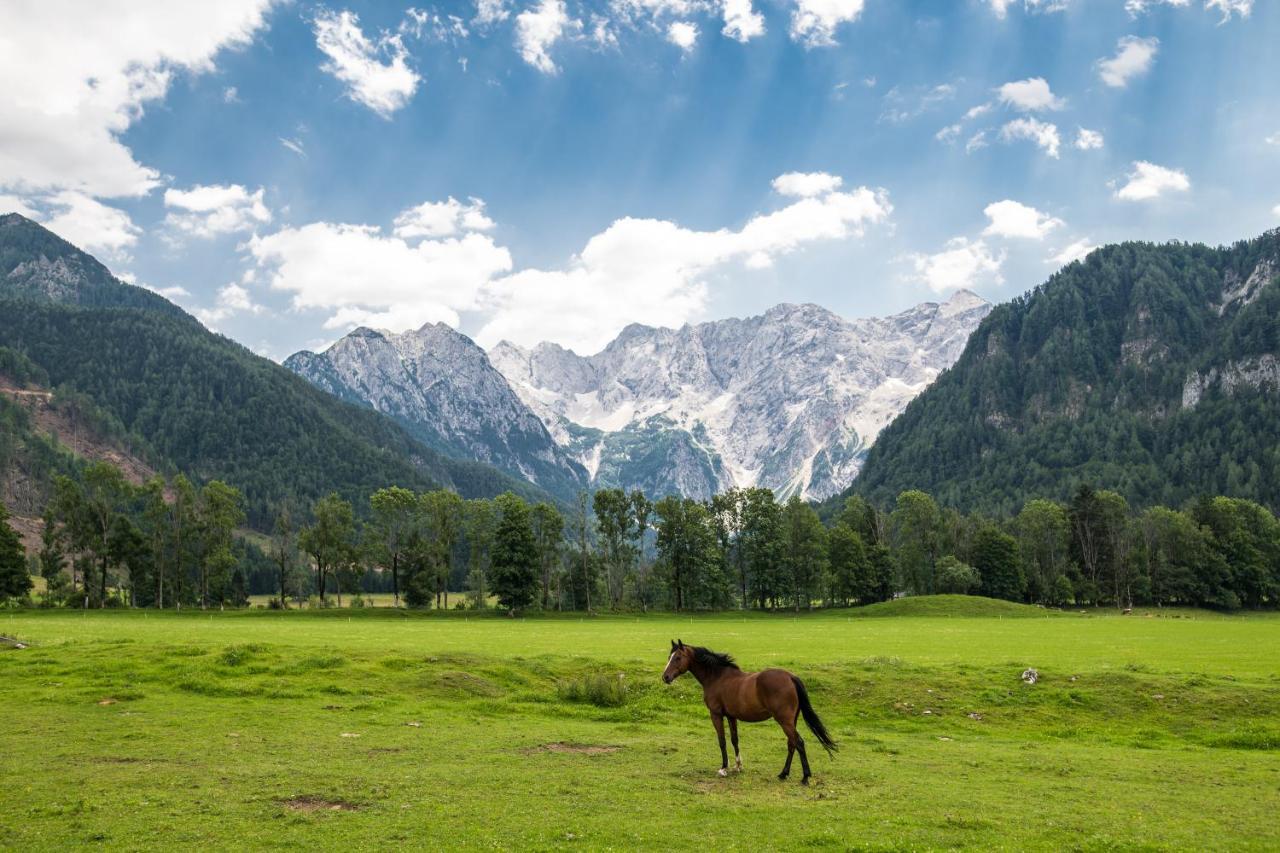 Boutique Hotel Vila Planinka Zgornje Jezersko Bagian luar foto