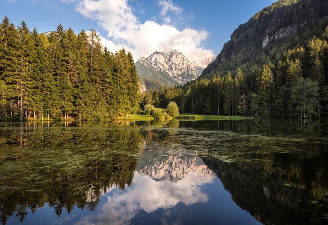 Boutique Hotel Vila Planinka Zgornje Jezersko Bagian luar foto