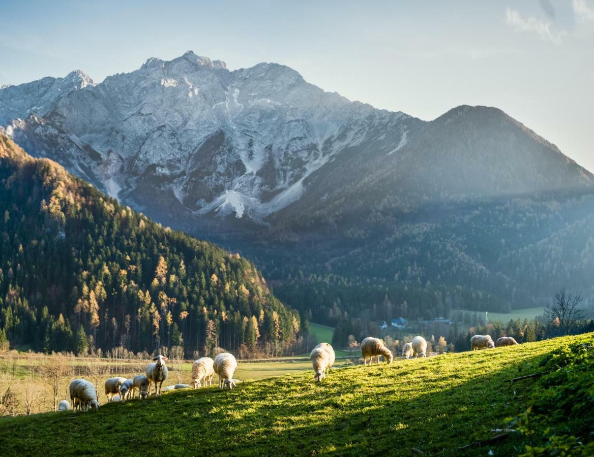 Boutique Hotel Vila Planinka Zgornje Jezersko Bagian luar foto